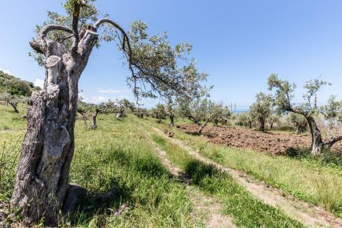 Villa Stay On A Solitary Beach