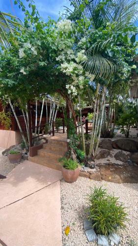 Apartamento La Case Bois Cr�ole