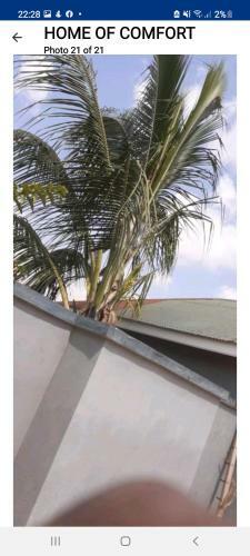Apartamento Penthouse Property