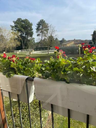 Apartamento Tuscany Relax H&h - Helly House