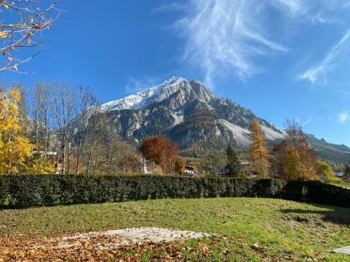 Apartamento Homely Cortina Ready Experience