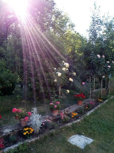 Apartamento Casa Vacanza Il Poggio