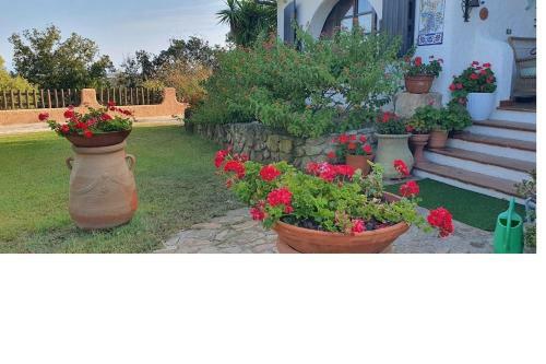 Villa La Sarra