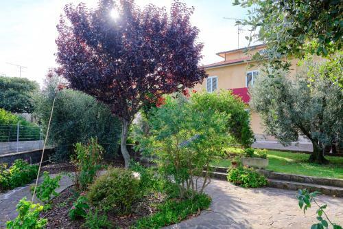 Hostal Olioealloro B&B
