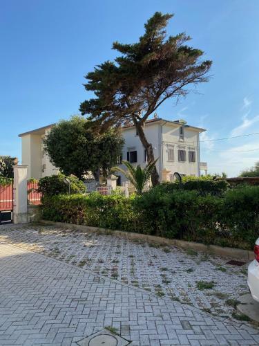 Apartamento Il Mare In Terrazza