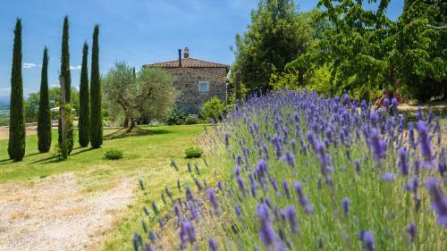 Villa Terra Quercus 7&1
