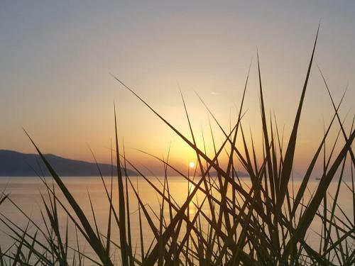 Apartamento I Due Ciuchini Sardinia