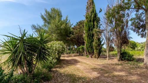 Villa Luisa - Your Holiday In Sardinia On A Budget