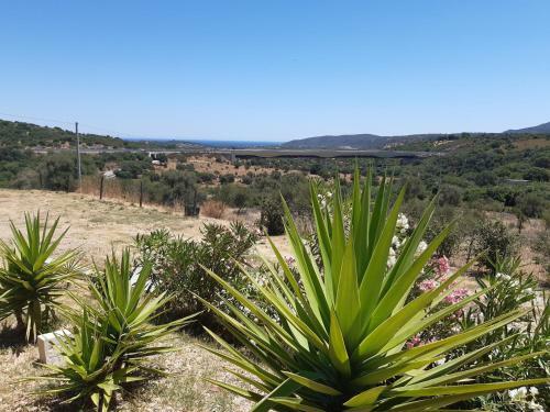 Bed & Breakfast Sole E Sale 2