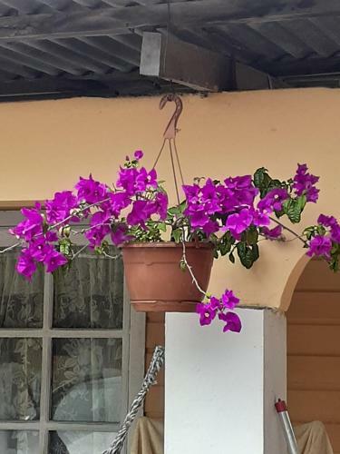 Hospedaje Rampolla's