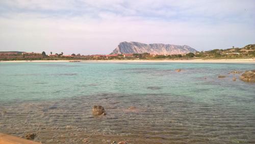 Porto Coda Cavallo