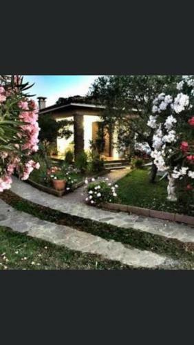 Villa Matteo San Teodoro