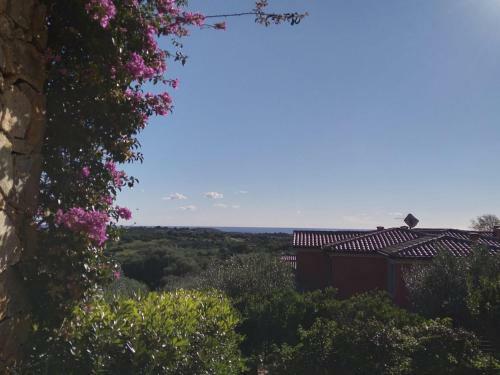 Apartamento Casa Gesuina