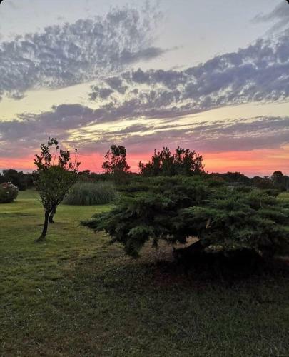 Visit San Teodoro Due