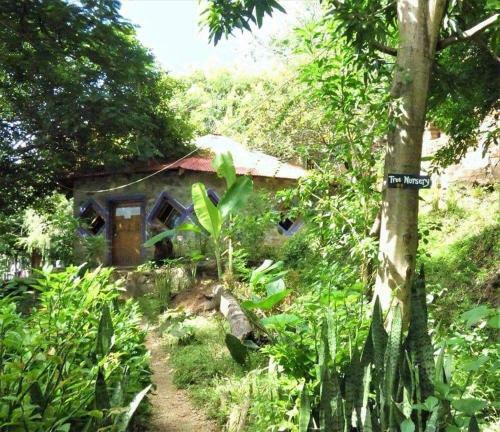 Butterfly Space Lodge