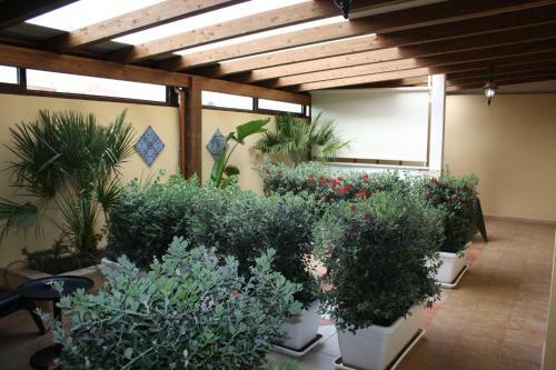 Hostal Room And Breakfast Aloe