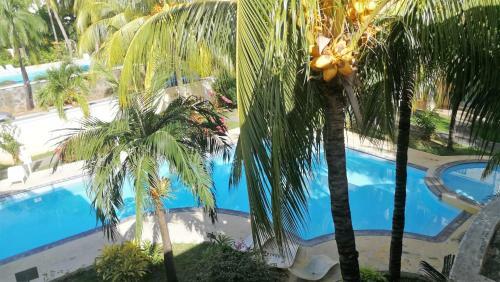 Apartamento Le Palmier Holidays
