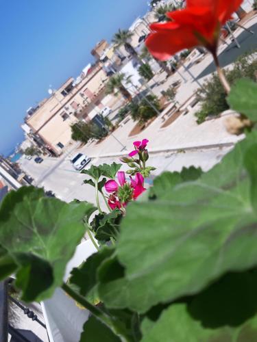Apartamento Appartamento Florans Alto