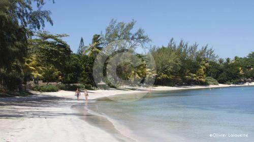 Fantastic Villavacances