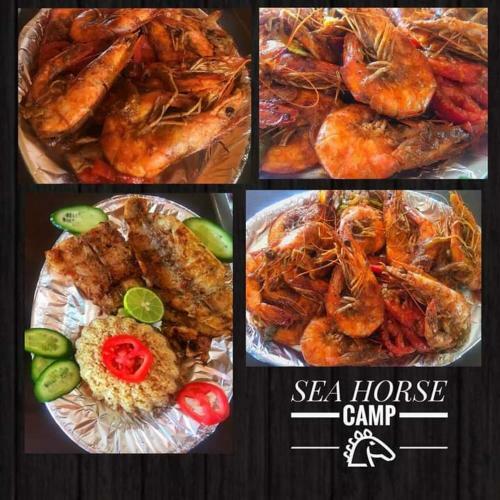 Sea Horse
