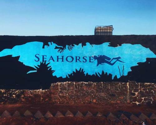 Sea Horse