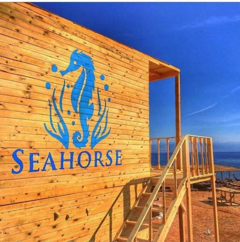 Sea Horse