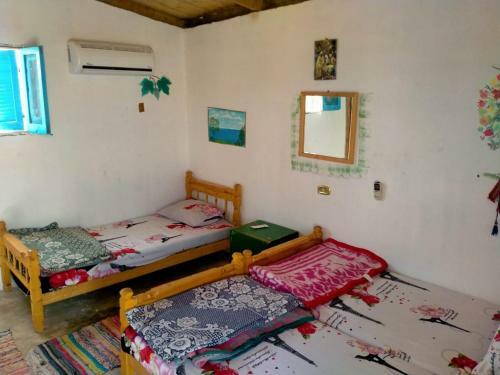 Wishwashi Camp & Spa