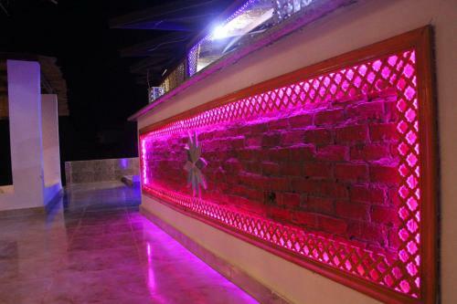 Cinderella Camp Nuweiba