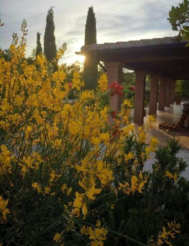 Bed & Breakfast Casale Terre Rosse Garden