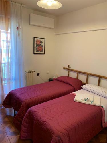 Apartamento Dario's House