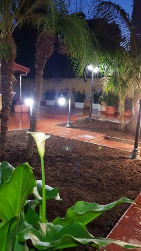 Apartamento Il Giardino Sul Corso