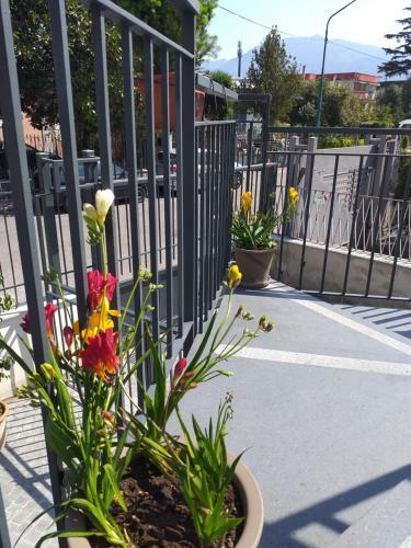 Appartamento B&B Domus Pompei