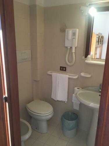 Hotel Albergo Pineta