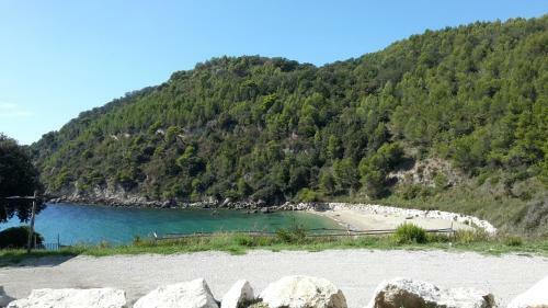 Apartamento La Marina Gardens Beach