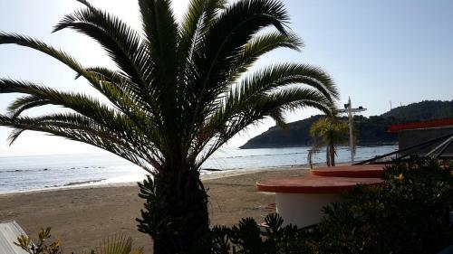 Apartamento La Marina Gardens Beach