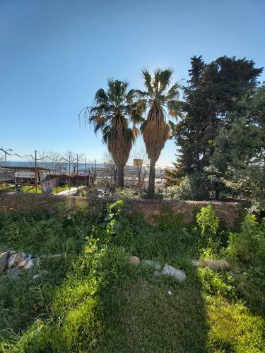 Apartamento Costa E Mare