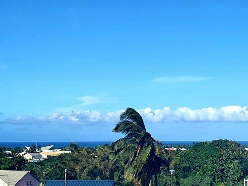 Apartamento Loft Ravissant Enti�rement Climatis�