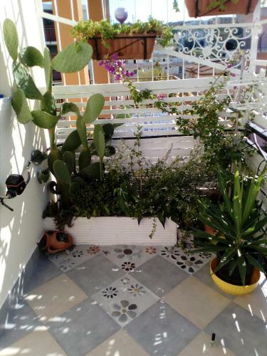 Apartamento Casa Di Chiara