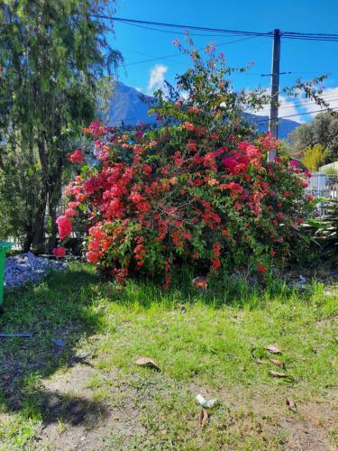 Bed & Breakfast G�te Les Cimes Caloupilon