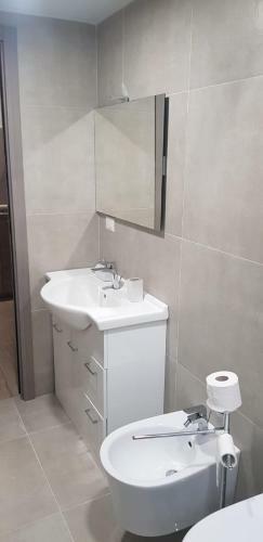 Apartamento Le Camelie 2 Affitti Brevi