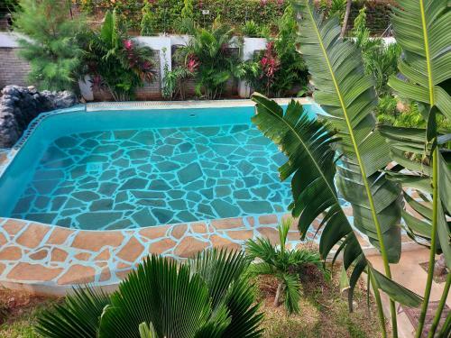 Villa Butterfly House