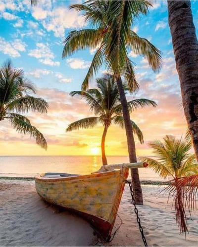 Apartamento Oceanview Kite Studio