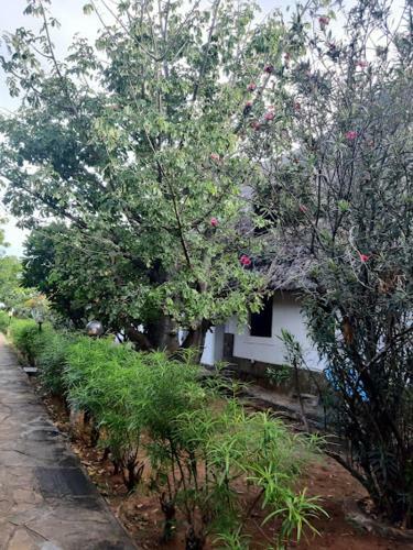 Karibuni Villas Mabrui