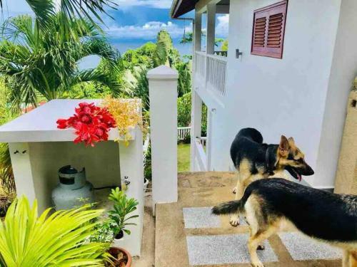 Hilltop South - Villa Bougainville