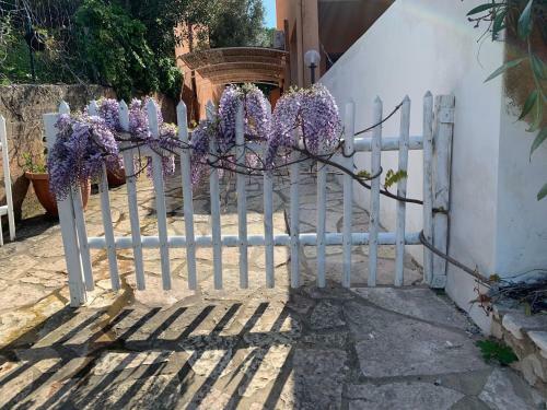 Villa Vista Mare Spiaggia Privata
