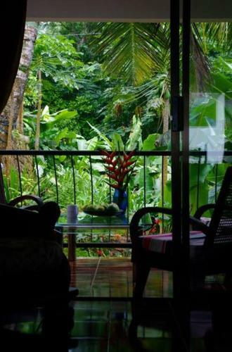 Papayas Self Catering Room