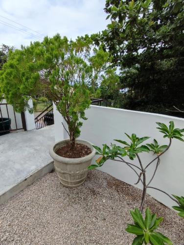Apartamento Riverside Mount Simpson Upper