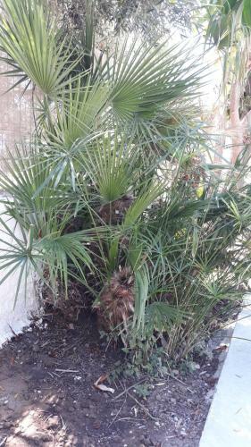 Apartamento Casa Degli Spartani Pina