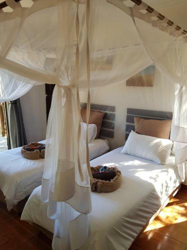 Kaoko Mopane Lodge & Camping