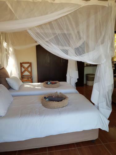 Kaoko Mopane Lodge & Camping